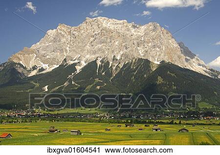 "Ehrwalder Becken valley with Mt. Zugspitze, Wettersteingebirge range, Ehrwald, Zugspitz Arena, Tyrol, Austria, Europe" View Large Photo Image Stock Image - "Ehrwalder Becken valley with Mt. Zugspitze, Wettersteingebirge range, Ehrwald, Zugspitz Arena, Tyrol, Austria, Europe". Fotosearch