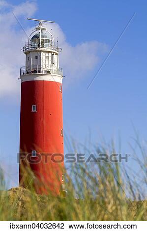 Stock Image - "Eierland Lighthouse with dunes, De Cocksdorp, Texel, West Frisian Islands, North Holland, Holland, The Netherlands, Europe". Fotosearch