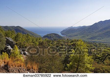 "Ekincik Cove near Dalyan, Mugla Province, Turkish Riviera or Turquoise Coast, Aegean, Turkey, Asia" View Large Photo Image Stock Image - "Ekincik Cove near Dalyan, Mugla Province, Turkish Riviera or Turquoise Coast, Aegean, Turkey, Asia". Fotosearch