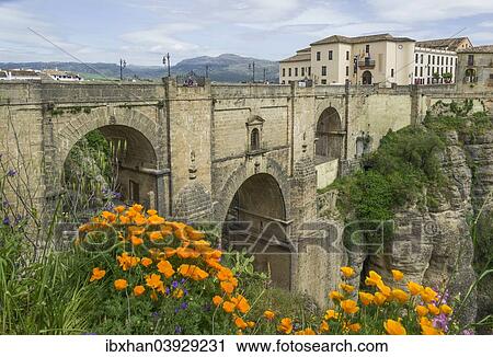 "El Puente Nuevo bridge, Ronda, Malaga province, Andalucia, Spain, Europe" View Large Photo Image Stock Image - "El Puente Nuevo bridge, Ronda, Malaga province, Andalucia, Spain, Europe". Fotosearch