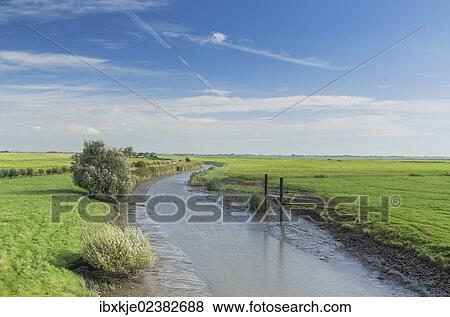 "Elbe river near Freiburg an der Elbe, Kehdinger Land region, Lower Saxony, Germany, Europe, Muhafazat al Mahrah, Germany, Europe" View Large Photo Image Stock Photo - "Elbe river near Freiburg an der Elbe, Kehdinger Land region, Lower Saxony, Germany, Europe, Muhafazat al Mahrah, Germany, Europe". Fotosearch