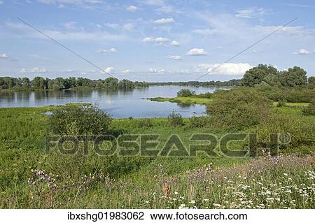 "Elbe River near Hitzacker, Elbhoehen-Wendland Nature Park, Lower Saxony, Germany, Europe" View Large Photo Image Stock Image - "Elbe River near Hitzacker, Elbhoehen-Wendland Nature Park, Lower Saxony, Germany, Europe". Fotosearch