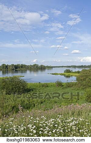 "Elbe River near Hitzacker, Elbhoehen-Wendland Nature Park, Lower Saxony, Germany, Europe" View Large Photo Image Stock Image - "Elbe River near Hitzacker, Elbhoehen-Wendland Nature Park, Lower Saxony, Germany, Europe". Fotosearch