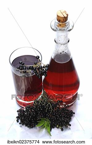 "Elderberry juice, elderberries (Sambucus nigra)" View Large Photo Image Picture - "Elderberry juice, elderberries (Sambucus nigra)". Fotosearch
