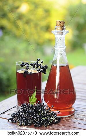 "Elderberry juice, elderberries (Sambucus nigra)" View Large Photo Image Stock Image - "Elderberry juice, elderberries (Sambucus nigra)". Fotosearch