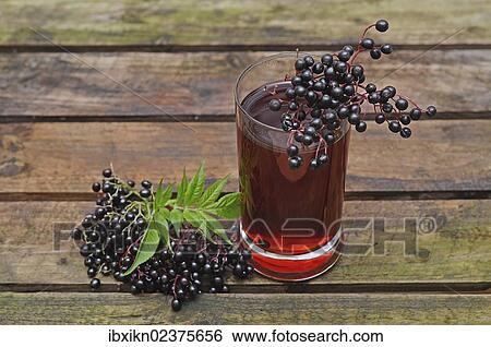 Stock Photograph - "Elderberry juice, elderberries (Sambucus nigra)". Fotosearch