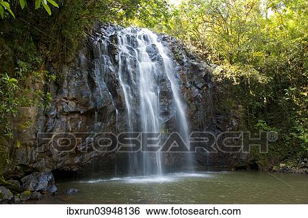 "Ellinjaa Falls, Atherton Tableland, Queensland, Australia, Oceania" View Large Photo Image Stock Photograph - "Ellinjaa Falls, Atherton Tableland, Queensland, Australia, Oceania". Fotosearch