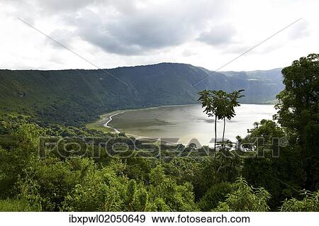 "Embakai Crater, volcano, Ngorongoro Conservation Area, Tanzania, Africa" View Large Photo Image Stock Photo - "Embakai Crater, volcano, Ngorongoro Conservation Area, Tanzania, Africa". Fotosearch