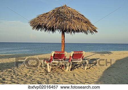"Empty sunbeds under a parasol on the beach of Playa Ancon near Trinidad, Cuba, Caribbean, North America" View Large Photo Image Stock Photo - "Empty sunbeds under a parasol on the beach of Playa Ancon near Trinidad, Cuba, Caribbean, North America". Fotosearch