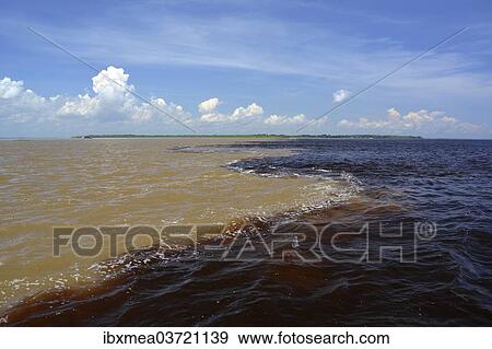 Stock Photo - "Encontro das Aguas, the Meeting of Waters, the confluence of the white water river Rio Solimoes and black water river Rio, further down river is called Amazon, Manaus, Amazonas State, Brazil, South America". Fotosearch