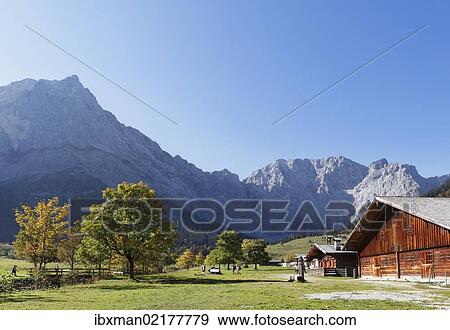 "Eng-Alm, mountain pasture, Grosser Ahornboden, pasture with maple trees, Risstal, Karwendel Mountains, Tyrol, Austria, Europe, PublicGround, Europe" View Large Photo Image Stock Photo - "Eng-Alm, mountain pasture, Grosser Ahornboden, pasture with maple trees, Risstal, Karwendel Mountains, Tyrol, Austria, Europe, PublicGround, Europe". Fotosearch