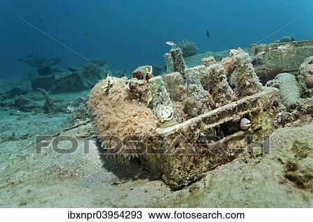 "Environmental sin, overgrown, box with empty bottles, seagrass meadow, Makadi Bay, Red Sea, Hurghada, Egypt, Africa" View Large Photo Image Stock Image - "Environmental sin, overgrown, box with empty bottles, seagrass meadow, Makadi Bay, Red Sea, Hurghada, Egypt, Africa". Fotosearch