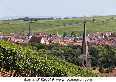 "Escherndorf in front of Nordheim, Mainschleife, loop in the Main River, Mainfranken, Lower Franconia, Franconia, Bavaria, Germany, Europe" View Large Photo Image Stock Photo - "Escherndorf in front of Nordheim, Mainschleife, loop in the Main River, Mainfranken, Lower Franconia, Franconia, Bavaria, Germany, Europe". Fotosearch