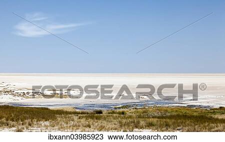 "Etosha Pan, Etosha National Park, Namibia, Africa" View Large Photo Image Stock Image - "Etosha Pan, Etosha National Park, Namibia, Africa". Fotosearch