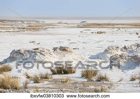 "Etosha Pan, Etosha National Park, Namibia, Africa" View Large Photo Image Stock Image - "Etosha Pan, Etosha National Park, Namibia, Africa". Fotosearch