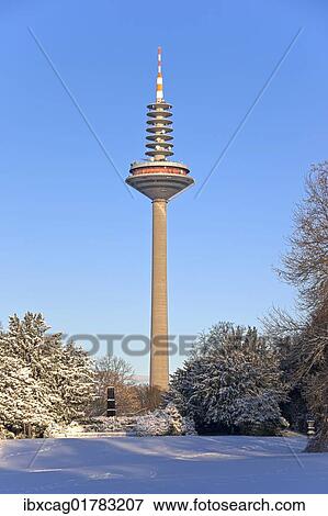 "Europaturm telecommunications tower, nicknamed """"Ginnheimer Spargel"""", and the commemorative obelisk of the former Palais Rothschild, Grueneburg Park park in winter, Frankfurt am Main, Hesse, Germany, Europe" View Large Photo Image Stock Photo - "Europaturm telecommunications tower, nicknamed """"Ginnheimer Spargel"""", and the commemorative obelisk of the former Palais Rothschild, Grueneburg Park park in winter, Frankfurt am Main, Hesse, Germany, Europe". Fotosearch