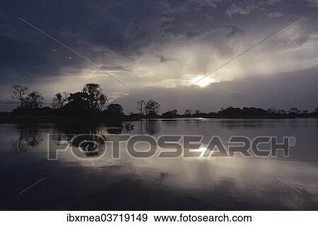 "Evening at a widened part of the Amazon or Rio Solimoes, Mamiraua Sustainable Development Reserve, near Manaus, Amazonas State, Brazil, South America" View Large Photo Image Stock Photo - "Evening at a widened part of the Amazon or Rio Solimoes, Mamiraua Sustainable Development Reserve, near Manaus, Amazonas State, Brazil, South America". Fotosearch