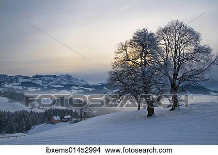 "Evening in the Appenzell region with a view on Mt. Saentis, Canton Appenzell Innerrhoden, Switzerland, Europe" View Large Photo Image Picture - "Evening in the Appenzell region with a view on Mt. Saentis, Canton Appenzell Innerrhoden, Switzerland, Europe". Fotosearch