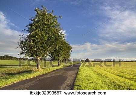 "Evening light, Mariensee, Neustadt am Ruebenberge, Hannover Region, Steinhuder Meer or Lake Steinhude, Lower Saxony, Germany, Europe" View Large Photo Image Stock Photo - "Evening light, Mariensee, Neustadt am Ruebenberge, Hannover Region, Steinhuder Meer or Lake Steinhude, Lower Saxony, Germany, Europe". Fotosearch