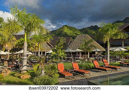 "Evening mood at the pool, Mo'orea, French Polynesia, Oceania" View Large Photo Image Stock Image - "Evening mood at the pool, Mo'orea, French Polynesia, Oceania". Fotosearch