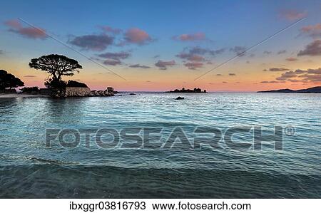 Stock Image - "Evening mood, beach of Palombaggia, Porto Vecchio, Corse-du-Sud, Corsica, France, Europe". Fotosearch