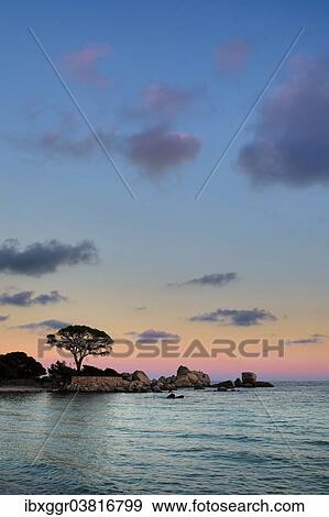 Stock Photo - "Evening mood, beach of Palombaggia, Porto Vecchio, Corse-du-Sud, Corsica, France, Europe". Fotosearch