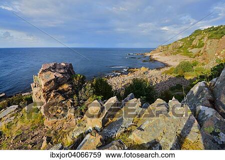 "Evening mood, Hovs Hallar coastline, nature reserve, Bjarehalvon Peninsula, Bastad, Scania, Sweden, Europe" View Large Photo Image Stock Photo - "Evening mood, Hovs Hallar coastline, nature reserve, Bjarehalvon Peninsula, Bastad, Scania, Sweden, Europe". Fotosearch