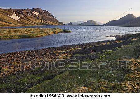 "Evening on a lake in a volcanic landscape, Alftavatn, Iceland, Europe" View Large Photo Image Stock Image - "Evening on a lake in a volcanic landscape, Alftavatn, Iceland, Europe". Fotosearch