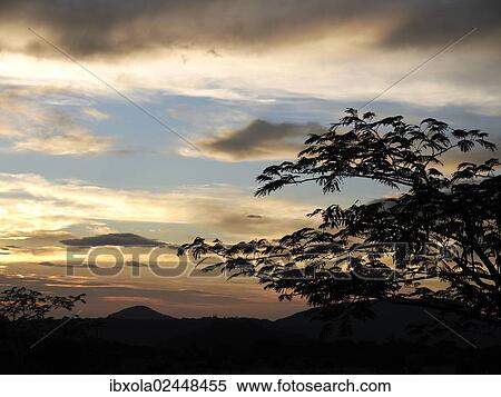"Evening sky at dusk in Ricon de la Vieja National Park, Province of Guanacaste, Costa Rica, Central America, North America" View Large Photo Image Stock Photography - "Evening sky at dusk in Ricon de la Vieja National Park, Province of Guanacaste, Costa Rica, Central America, North America". Fotosearch