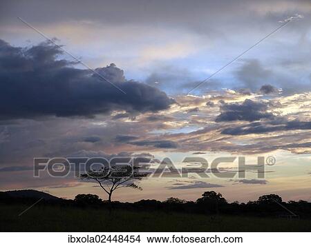 "Evening sky at dusk in the Ricon de la Vieja National Park, Guanacaste, Costa Rica, Central America, North America" View Large Photo Image Picture - "Evening sky at dusk in the Ricon de la Vieja National Park, Guanacaste, Costa Rica, Central America, North America". Fotosearch
