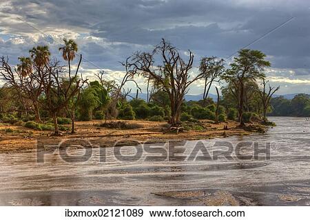 "Ewaso Ng'iro River in Samburu National Reserve, Kenya, East Africa, Africa, PublicGround, Africa" View Large Photo Image Stock Photo - "Ewaso Ng'iro River in Samburu National Reserve, Kenya, East Africa, Africa, PublicGround, Africa". Fotosearch