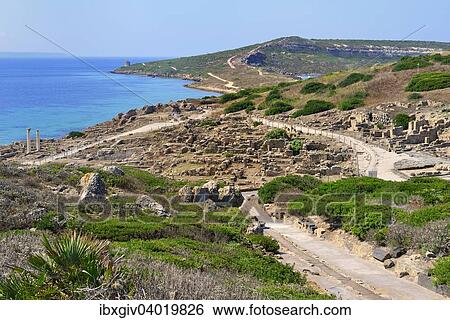 "Excavations of the ancient city Tharros, Sinis Peninsula, Oristano, Sardinia, Italy Province, Europe" View Large Photo Image Stock Photograph - "Excavations of the ancient city Tharros, Sinis Peninsula, Oristano, Sardinia, Italy Province, Europe". Fotosearch