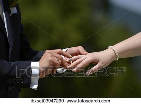 Exchanging wedding ring View Large Photo Image Stock Photo - Exchanging wedding ring. Fotosearch
