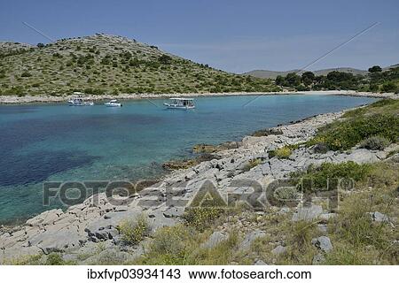"Excursion boats in Lojena Bay, Levrnaka Island, Kornati islands, Kornati National Park, Adriatic, Croatia, Europe" View Large Photo Image Stock Image - "Excursion boats in Lojena Bay, Levrnaka Island, Kornati islands, Kornati National Park, Adriatic, Croatia, Europe". Fotosearch