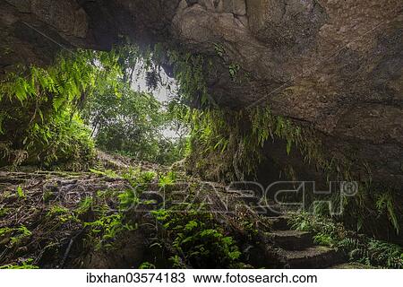 "Exit of a lava tube, Isabela Island, Galapagos Islands, Ecuador, South America" View Large Photo Image Stock Image - "Exit of a lava tube, Isabela Island, Galapagos Islands, Ecuador, South America". Fotosearch