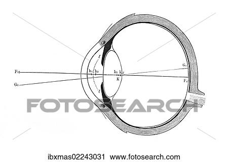 Stock Image - "Eye, schematic representation". Fotosearch