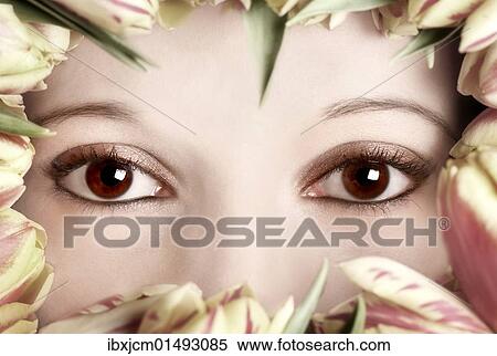 Eyes of a woman framed by tulips View Large Photo Image Stock Photography - Eyes of a woman framed by tulips. Fotosearch