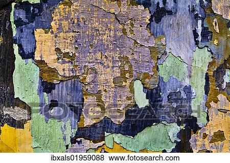 Stock Photo - "Facade with flaking paint, Krems, Lower Austria, Austria, Europe". Fotosearch