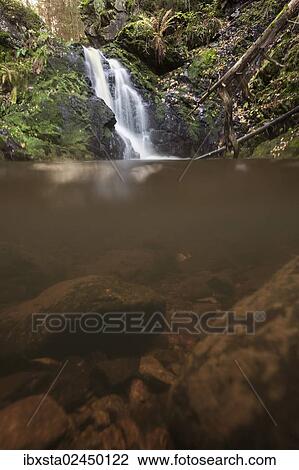 "Falkaau waterfalls in autum, image half above and below the waterline, near Mt Feldberg, Black Forest, Germany, Europe" View Large Photo Image Stock Image - "Falkaau waterfalls in autum, image half above and below the waterline, near Mt Feldberg, Black Forest, Germany, Europe". Fotosearch