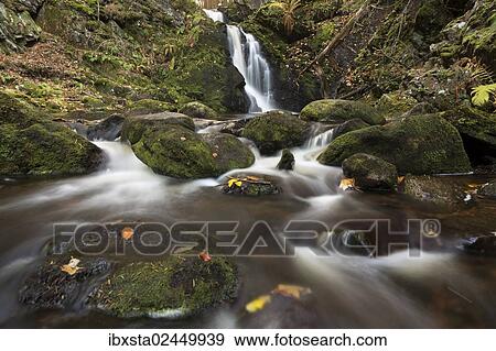 Stock Photo - "Falkau waterfalls in autumn, near Mt Feldberg, Black Forest, Baden-Wuerttemberg, Germany, Europe". Fotosearch