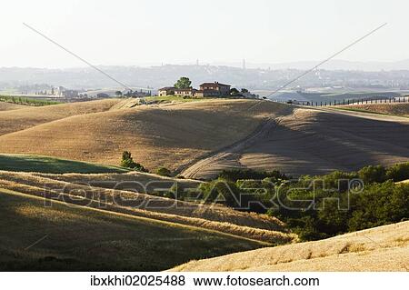 "Farmhouse on a hill, typical Tuscan landscape near Ville de Corsano, Tuscany, Italy, Europe" View Large Photo Image Stock Photo - "Farmhouse on a hill, typical Tuscan landscape near Ville de Corsano, Tuscany, Italy, Europe". Fotosearch