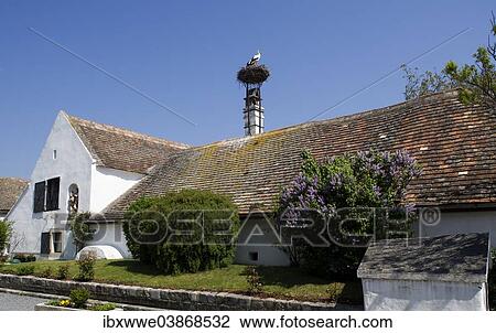 Stock Image - "Farmhouse with a stork's nest, Purbach am Neusiedler See, Burgenland, Austria, Europe". Fotosearch