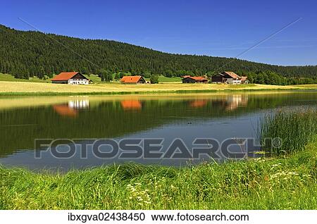 "Farmhouses in the Les Tallieres settlement at the Lac des Tailleres, Vallee de la Brevine, high valley, Neuchatel Jura mountains, Switzerland, Europe" View Large Photo Image Stock Image - "Farmhouses in the Les Tallieres settlement at the Lac des Tailleres, Vallee de la Brevine, high valley, Neuchatel Jura mountains, Switzerland, Europe". Fotosearch