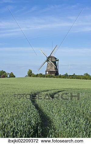 "Farver Muehle mill, Farve, Baltic Sea, Schleswig-Holstein, Germany, Europe" View Large Photo Image Stock Image - "Farver Muehle mill, Farve, Baltic Sea, Schleswig-Holstein, Germany, Europe". Fotosearch