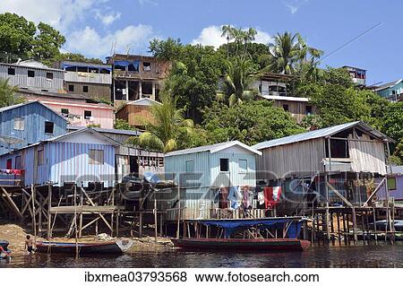 "Favela riverside slum in Amazonia, Tefe, department of Amazonas, Brazil, South America" View Large Photo Image Stock Photo - "Favela riverside slum in Amazonia, Tefe, department of Amazonas, Brazil, South America". Fotosearch