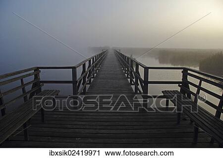 "Federsee lake, Federsee lake pier, fog, morning mood, Upper Swabia, Baden-Wuerttemberg, Germany, Europe" View Large Photo Image Stock Image - "Federsee lake, Federsee lake pier, fog, morning mood, Upper Swabia, Baden-Wuerttemberg, Germany, Europe". Fotosearch