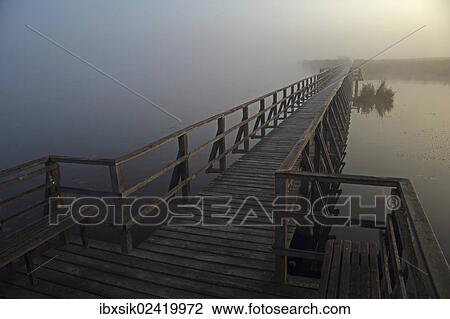 "Federsee lake, Federsee lake pier, fog, morning mood, Upper Swabia, Baden-Wuerttemberg, Germany, Europe" View Large Photo Image Stock Image - "Federsee lake, Federsee lake pier, fog, morning mood, Upper Swabia, Baden-Wuerttemberg, Germany, Europe". Fotosearch