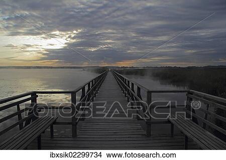 "Federsee Lake, in the early morning, dawn, clouds, nature reserve, Upper Swabia, Baden-Wuerttemberg, Germany, Europe" View Large Photo Image Picture - "Federsee Lake, in the early morning, dawn, clouds, nature reserve, Upper Swabia, Baden-Wuerttemberg, Germany, Europe". Fotosearch