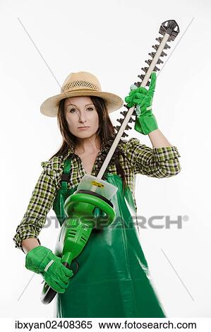 Female gardener holding a hedge trimmer View Large Photo Image Stock Photography - Female gardener holding a hedge trimmer. Fotosearch
