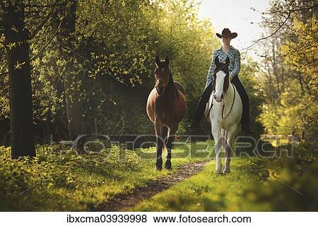 "Female western rider on a Paint Horse, Black Tobiano colour pattern, leading a bay Shagya Arabian horse, riding bareback through the forest, Munsterland, North Rhine-Westphalia, Germany, Europe" View Large Photo Image Stock Photo - "Female western rider on a Paint Horse, Black Tobiano colour pattern, leading a bay Shagya Arabian horse, riding bareback through the forest, Munsterland, North Rhine-Westphalia, Germany, Europe". Fotosearch